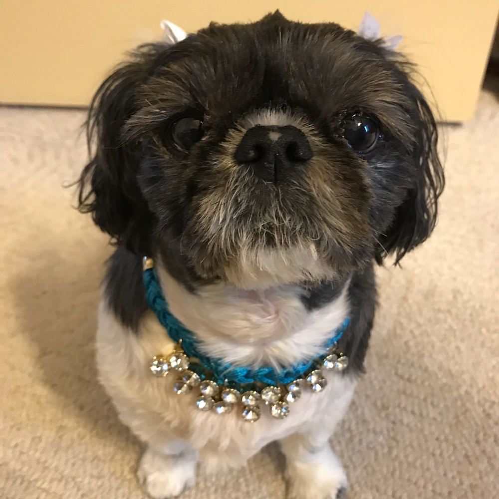 Necklace - Picture 2 of 2